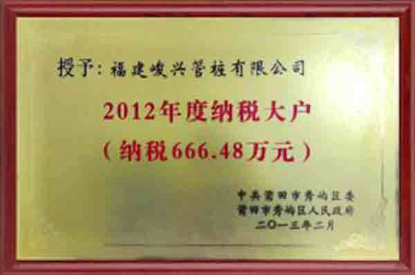 2012年度納稅大戶