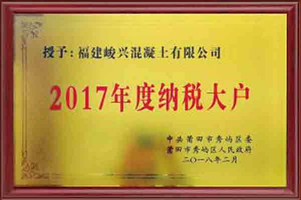 2017年度納稅大戶