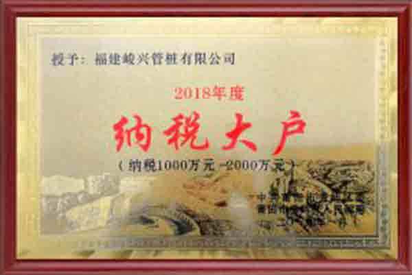 2018年度納稅大戶